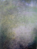m_ivarsdotter_Transformation VI_2012.jpg